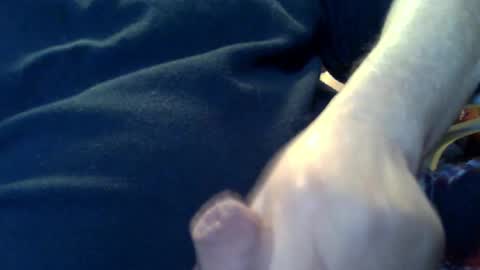 marko_th online show from February 8, 2026, 11:19 pm