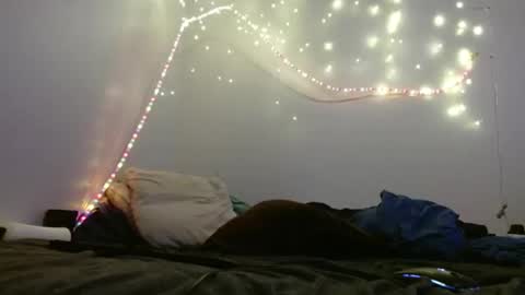 markymark101825061 online show from February 10, 2025, 8:31 pm