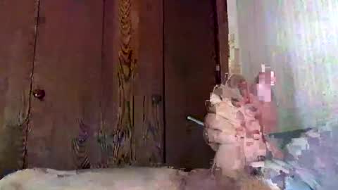 marmiles58 online show from September 20, 2025, 9:38 pm