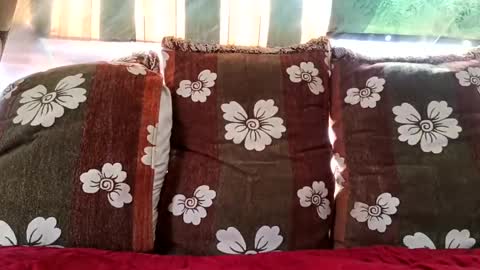 marocreda33 online show from February 16, 2025, 11:05 am