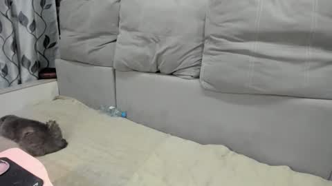 martaandserg online show from April 7, 2026, 2:39 pm