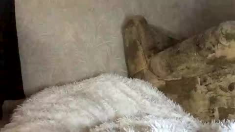 Snapshot of martaluna_ chatting on November 27, 2025, 7:54 am Marta online show from November 27, 2025, 7:54 am