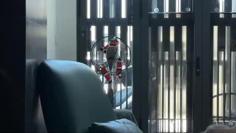 Telegram - FlyingDutchmana online show from March 27, 2026, 5:24 am