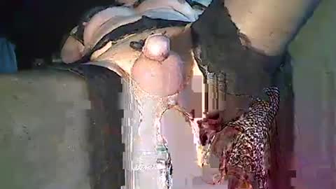 Snapshot of maschpro chatting on December 26, 2024, 2:37 pm maschpro online show from December 26, 2024, 2:37 pm