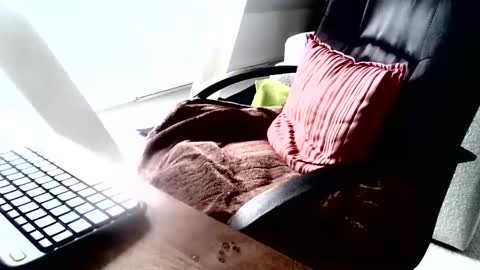 Snapshot of maskime59 chatting on December 9, 2024, 9:06 am maskime59 online show from December 9, 2024, 9:06 am