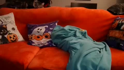 Snapshot of mastersquirter98 chatting on October 20, 2025, 7:53 am alex online show from October 20, 2025, 7:53 am