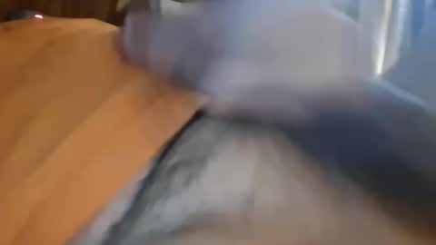 Snapshot of masturbator469658 chatting on January 13, 2026, 5:29 pm masturbator469658 online show from January 13, 2026, 5:29 pm