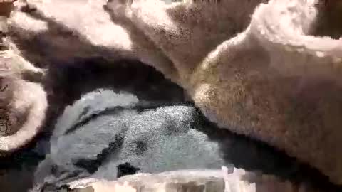 mattca80 online show from October 26, 2025, 2:50 am