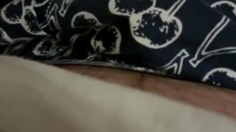 matt online show from December 14, 2025, 3:01 am