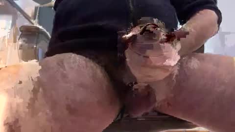 matt online show from January 9, 2026, 11:13 am