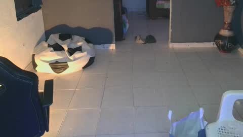 mattias     online show from February 19, 2025, 2:12 am