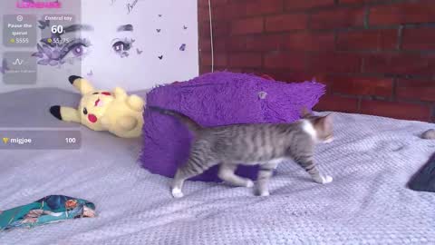 Mature liaa online show from November 19, 2025, 3:34 pm