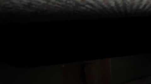 Rob online show from February 19, 2025, 11:17 am