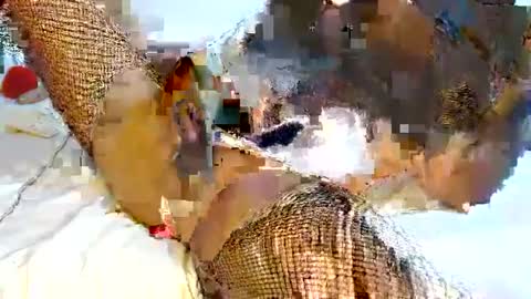 mauro sex online show from February 6, 2025, 6:02 pm