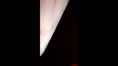 Snapshot of mausaa1199 chatting on March 31, 2026, 3:19 am mausaa1199 online show from March 31, 2026, 3:19 am