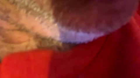 Snapshot of maverick7000 chatting on October 31, 2025, 8:59 am maverick7000 online show from October 31, 2025, 8:59 am