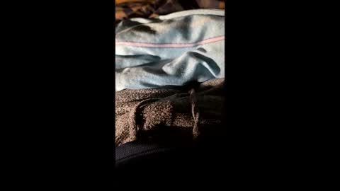 maxhot9977 online show from March 20, 2026, 6:57 pm