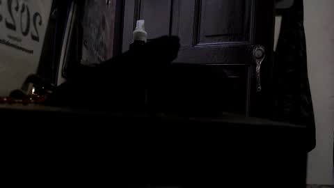 maximotorricelli online show from January 3, 2025, 9:47 pm