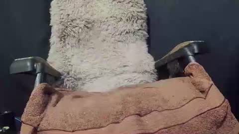 Max online show from January 8, 2025, 9:34 pm