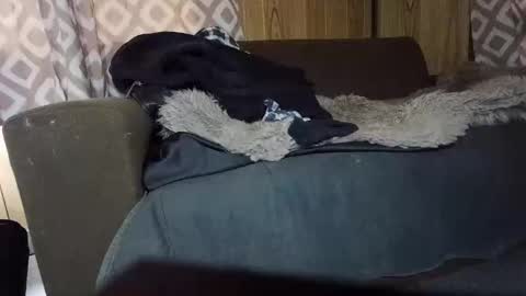 Max online show from February 1, 2025, 7:15 am