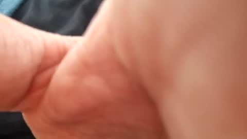 mccock16cm online show from July 4, 2026, 7:53 pm