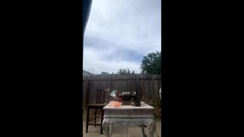 mcdanielx4209 online show from June 6, 2026, 11:20 pm