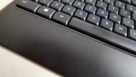 mcloraheen online show from February 20, 2026, 2:06 pm