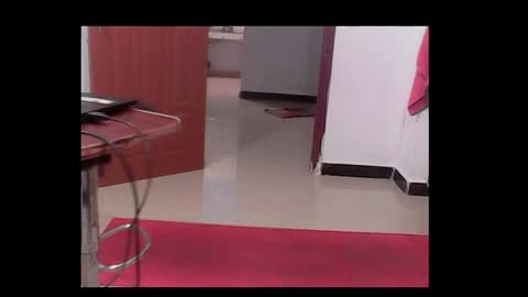 me_hai12 online show from December 17, 2024, 3:39 pm