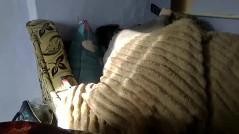 Oltereodora-lima online show from January 10, 2025, 8:40 am