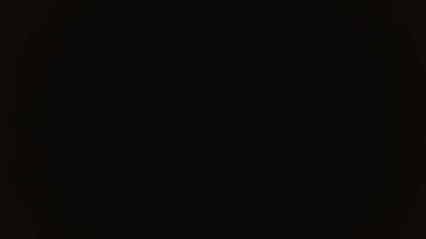 MELANI online show from November 26, 2025, 2:29 pm