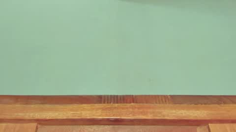 Melania online show from March 1, 2025, 12:34 pm