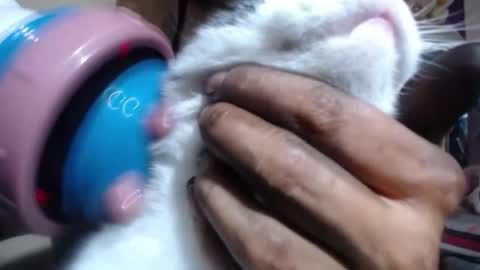 melany online show from November 6, 2025, 8:54 pm