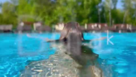 Adel online show from January 14, 2026, 7:08 pm