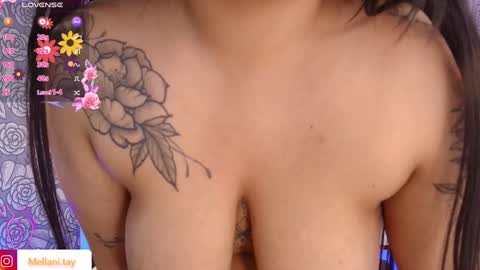 Snapshot of mellani_tay chatting on February 3, 2025, 9:30 am Mellani  online show from February 3, 2025, 9:30 am