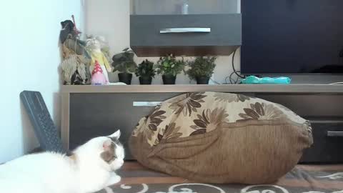 MellyMell  online show from February 18, 2025, 2:16 am