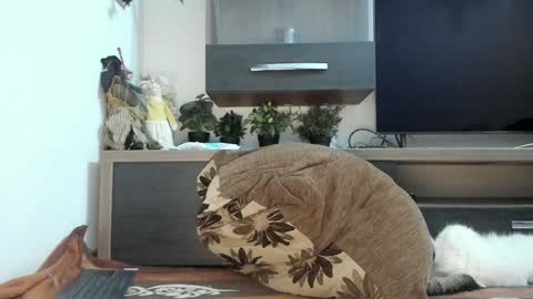 MellyMell  online show from March 5, 2025, 11:05 pm