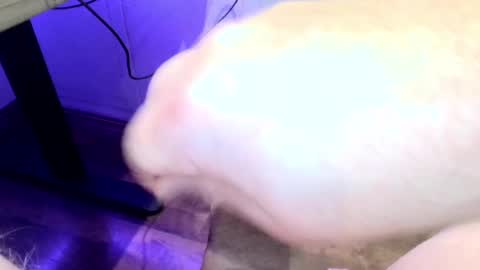 mellomike online show from September 22, 2025, 6:32 pm