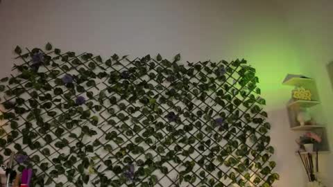 melody_cute10 online show from January 26, 2025, 4:41 pm