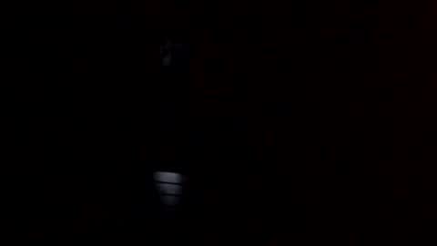 melodycharlotte online show from November 24, 2025, 11:10 am