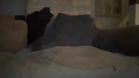 melt13 online show from January 1, 2025, 2:41 am