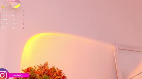 Melissa online show from January 14, 2025, 3:53 am