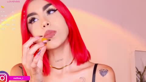 Melissa online show from January 29, 2025, 3:44 am