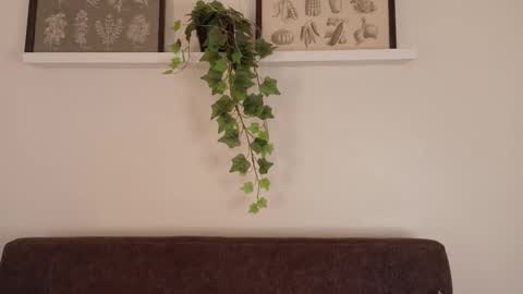  Memphis Williams  online show from February 15, 2026, 12:03 pm