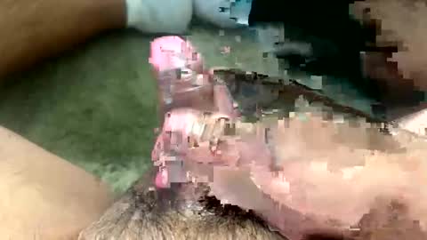 Toro loco online show from March 26, 2026, 9:31 pm