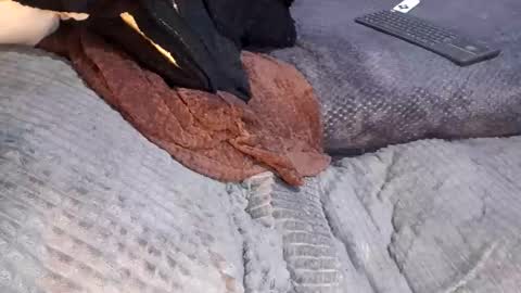 Giorggio Fragacci online show from April 10, 2026, 5:12 am