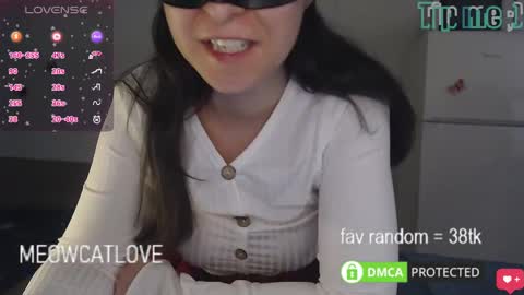 meowcatlove online show from February 6, 2025, 8:34 pm