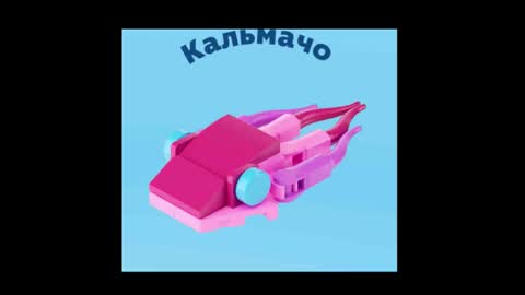 meowcr online show from December 16, 2025, 11:54 pm