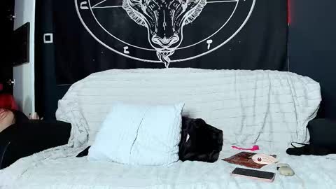 meowroslava online show from November 17, 2025, 10:32 am