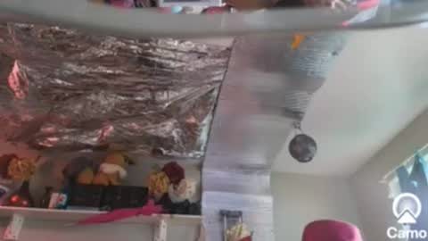 Snapshot of merelyalover chatting on December 26, 2024, 9:04 pm gurlnips online show from December 26, 2024, 9:04 pm