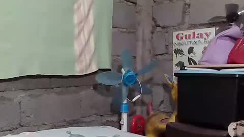 Snapshot of merietiny chatting on January 22, 2025, 5:59 am merietiny online show from January 22, 2025, 5:59 am